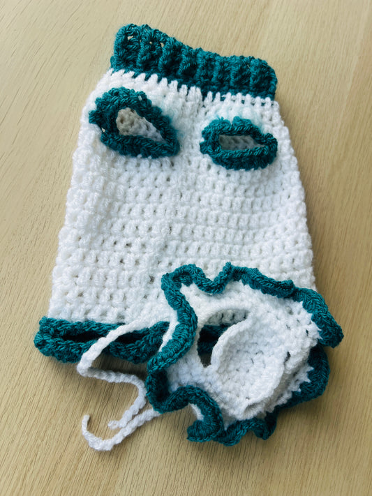 Cat Coat & Matching Bonnet