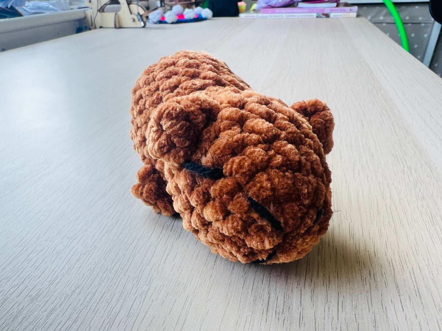 Curious Capybara