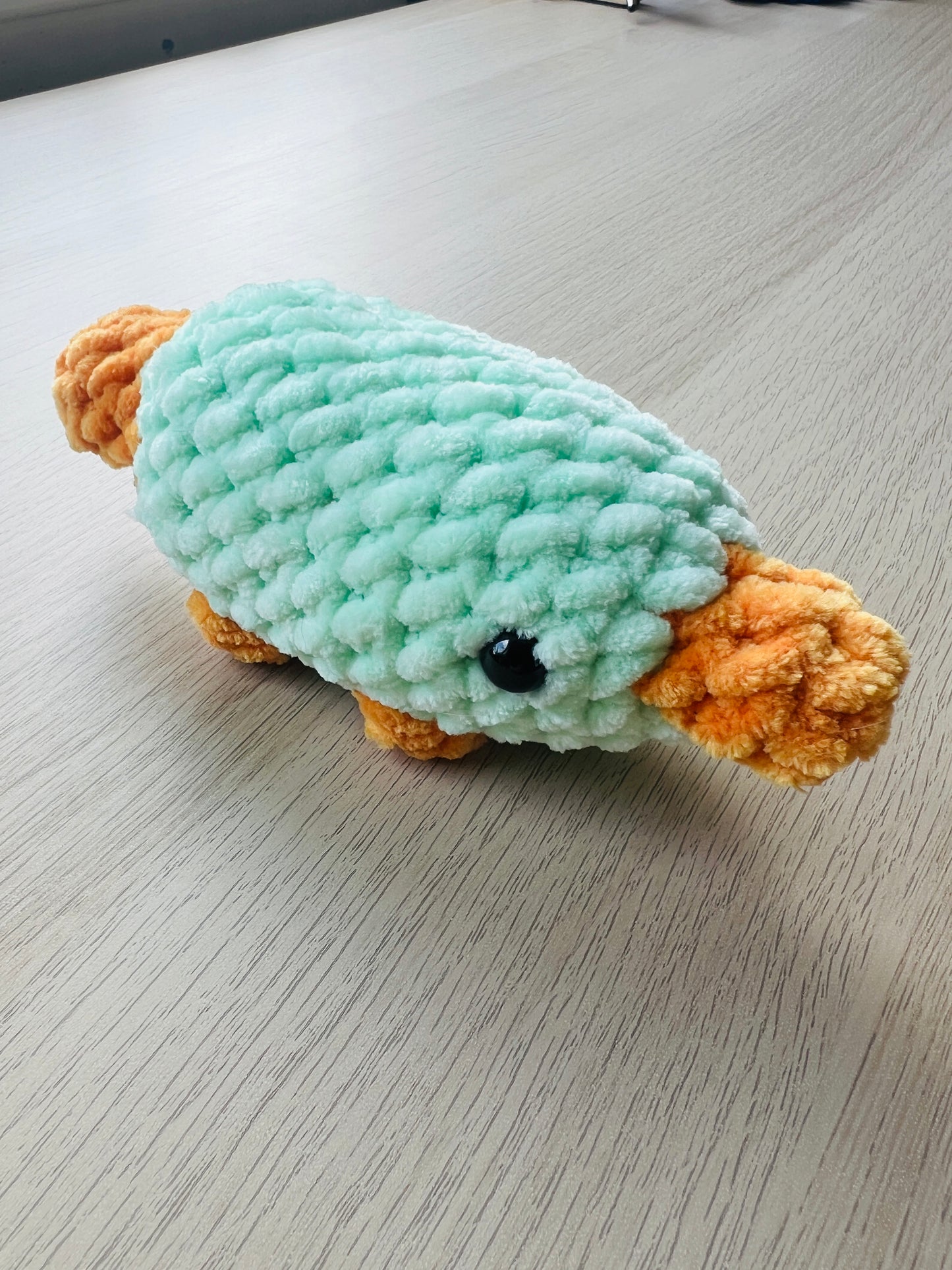 Pragmatic Platypus
